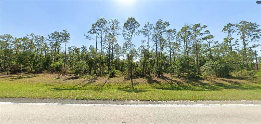 A grassy roadside leads to a wooded lot filled with tall pine trees — RIVER RANCH BOULEVARD, LAKE WALES, FL
