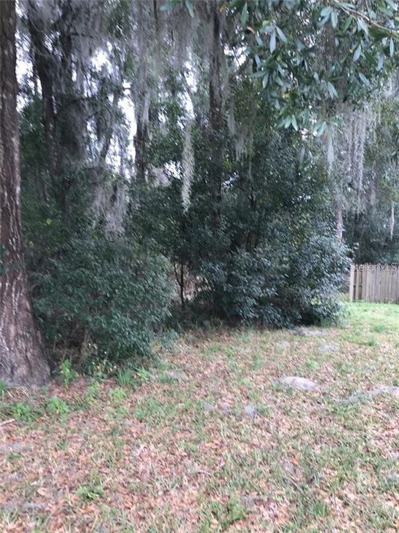 A wooded area with dense green shrubs and trees draped in Spanish moss — 260 MERCERS FERNERY ROAD, DELAND, FL