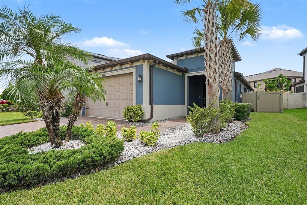 A blue single-story house with a tan garage, palm trees, and a landscaped front yard — 4711 SAN MARTINO DRIVE, WESLEY CHAPEL, FL