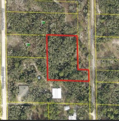 This is an aerial map showing a vacant, wooded lot outlined in red — 0 BEDROCK DRIVE, WEBSTER, FL