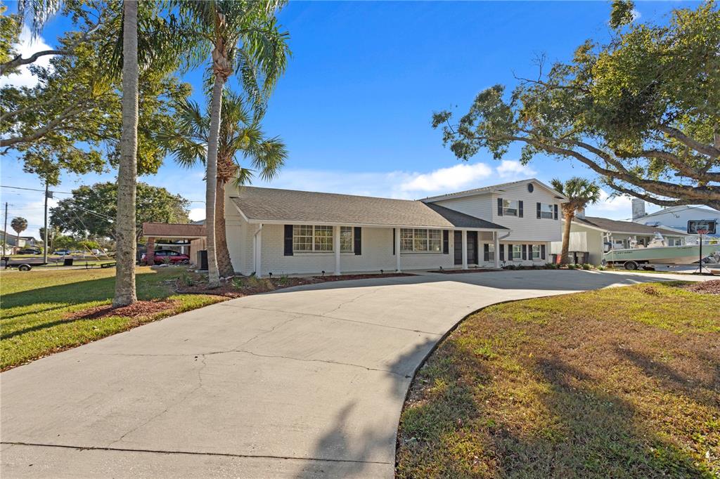 A white, single-story house with a concrete driveway and palm trees in the front yard — 8702 ELMWOOD LANE, TAMPA, FL