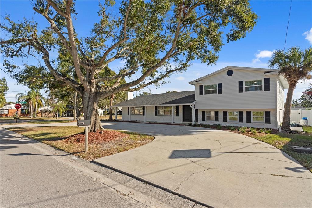 An open-concept kitchen and dining area features white cabinetry, tile flooring, and geometric wall molding — 8702 ELMWOOD LANE, TAMPA, FL