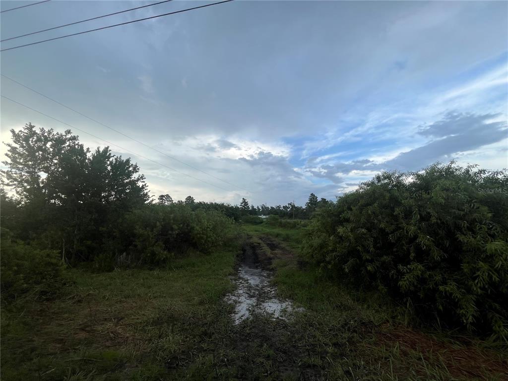 E STATE RD 60, OKEECHOBEE, FL — photo 2 of 8