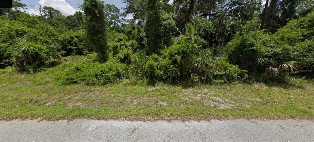 A view of a vacant, heavily wooded lot from an adjacent paved road — SKRIP AVENUE, NORTH PORT, FL