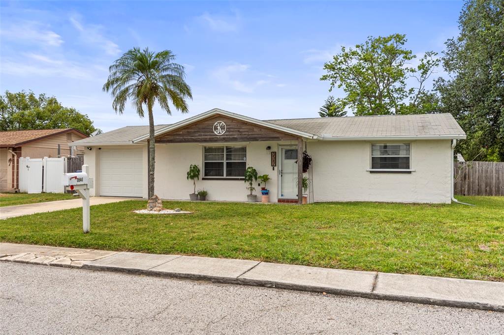 A single-story house with a white stucco exterior, a garage, and a palm tree — 3547 WILSON DRIVE, HOLIDAY, FL