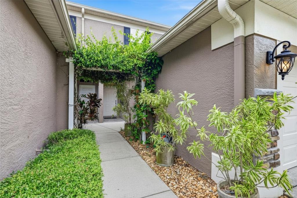 A concrete walkway leads to a front door under a vine-covered trellis between two walls — 11221 WINDSOR PLACE CIRCLE, TAMPA, FL