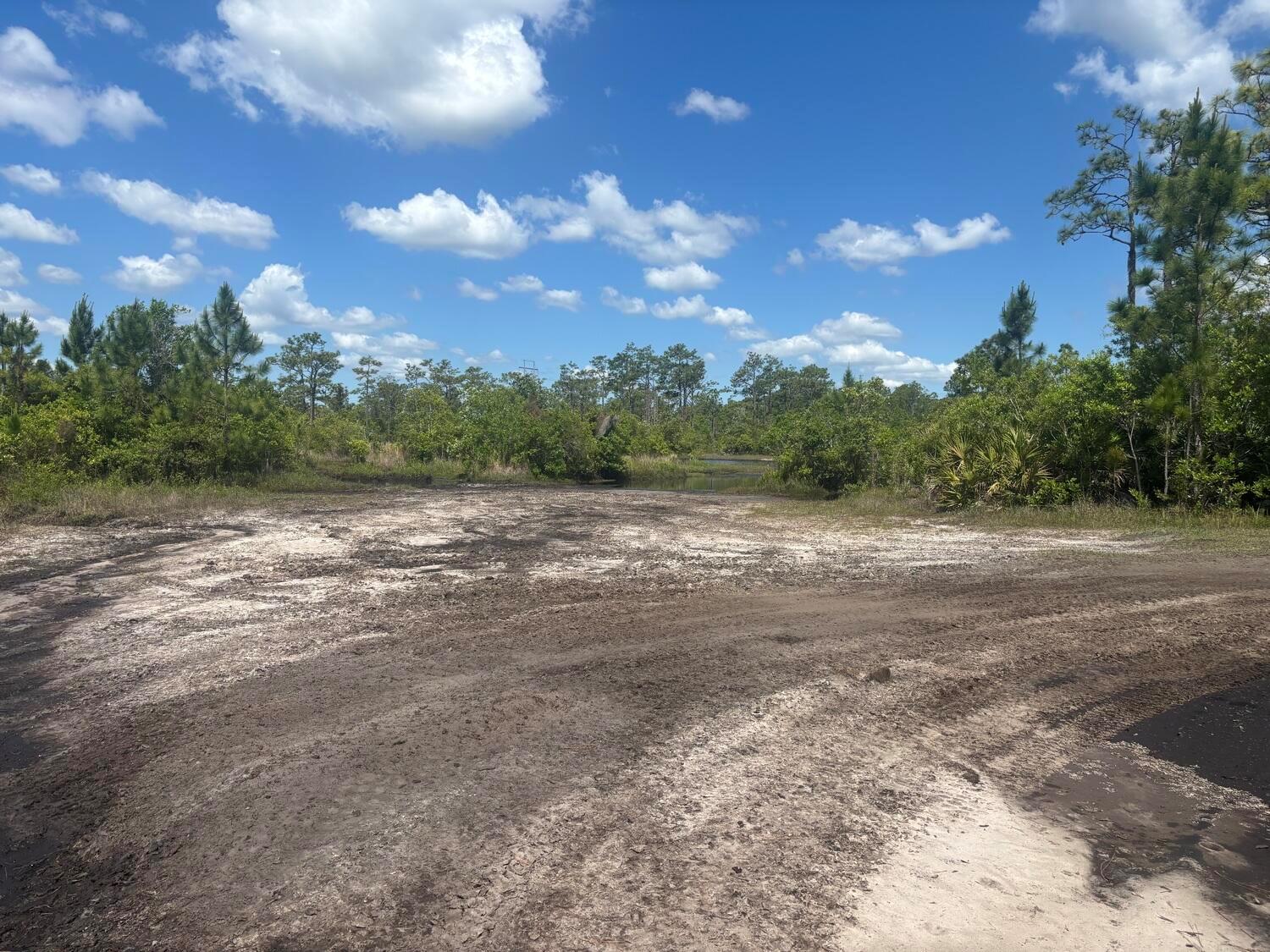 A dirt clearing with tire tracks leads toward a wooded area under a blue sky — 0 Holopaw Groves Road, FL 34772, FL