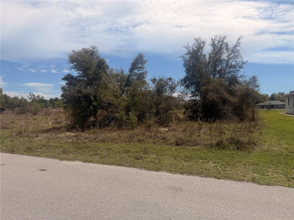 A vacant, overgrown residential lot with trees and shrubs sits beside a paved road — 31073 PEACE STREET, PUNTA GORDA, FL