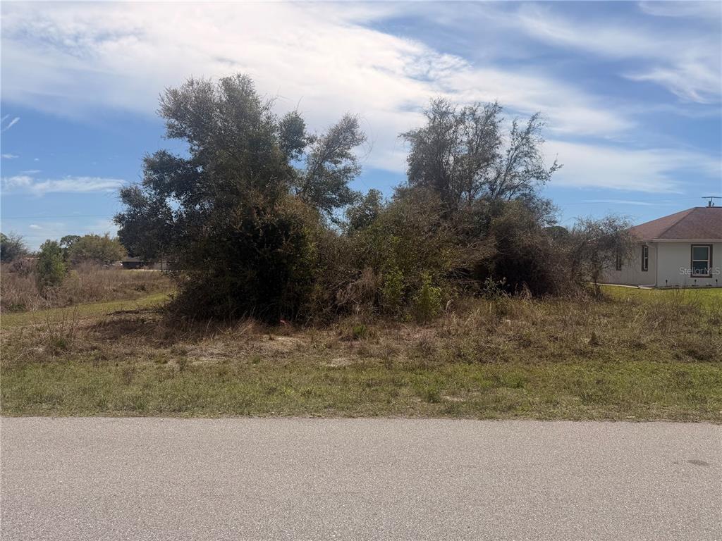 A vacant, overgrown residential lot with trees and shrubs sits next to a house — 31073 PEACE STREET, PUNTA GORDA, FL