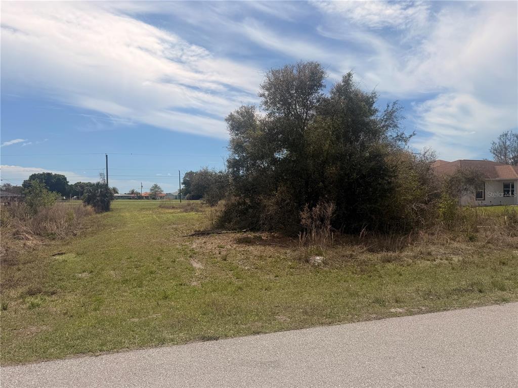 A vacant, grassy lot features a large, dense tree and brush under a blue sky — 31073 PEACE STREET, PUNTA GORDA, FL