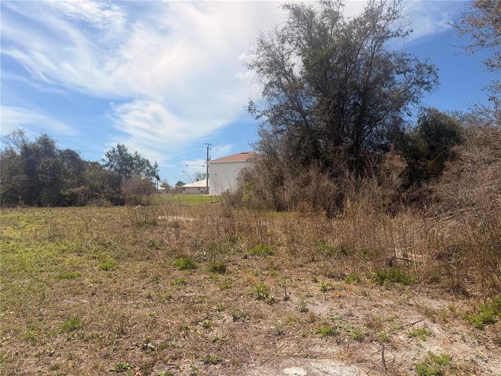 A vacant, grassy lot with scattered brush and trees under a blue sky — 31073 PEACE STREET, PUNTA GORDA, FL