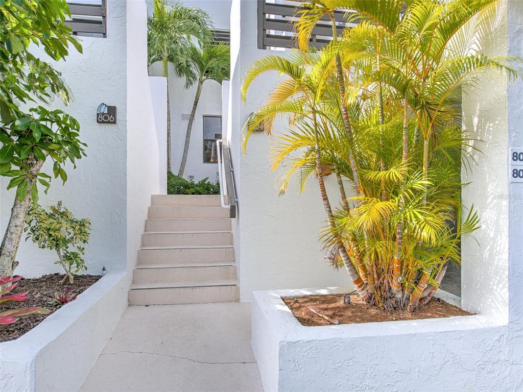 A concrete staircase leads to an entrance between two white walls with palm trees — 805 BAYPORT WAY UNIT 805, LONGBOAT KEY, FL