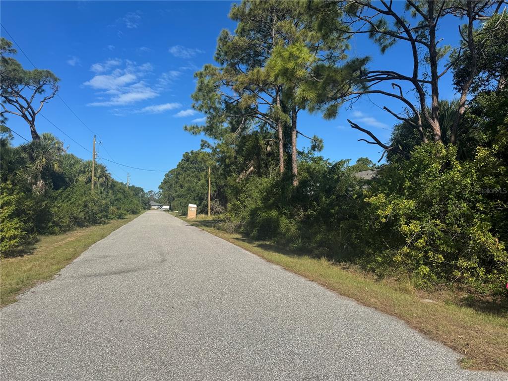 A paved road stretches into the distance flanked by dense trees and overgrown vegetation — Lot 8 SAN SALVADOR ROAD, NORTH PORT, FL