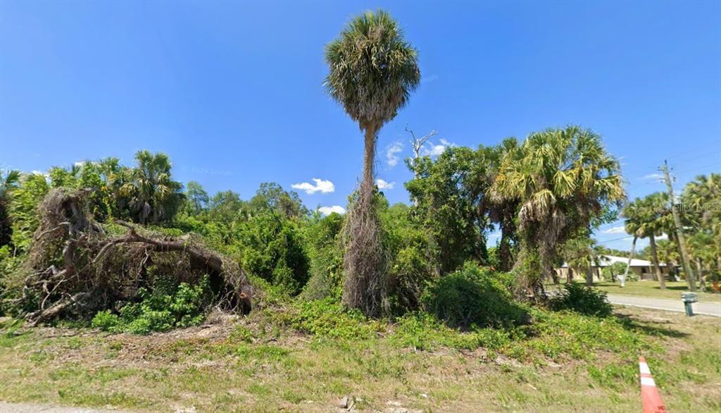 A vacant, overgrown lot features a tall palm tree and dense vegetation under a blue sky — 18504 YARBROUGH AVENUE, PORT CHARLOTTE, FL