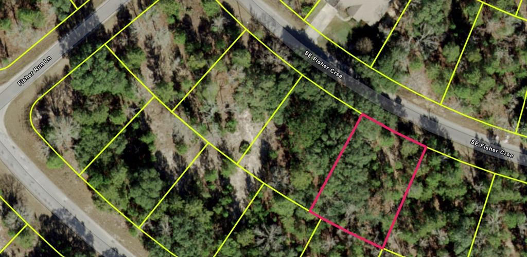 This is an aerial map showing a vacant, wooded residential lot outlined in pink — FISHER COURSE, OCKLAWAHA, FL