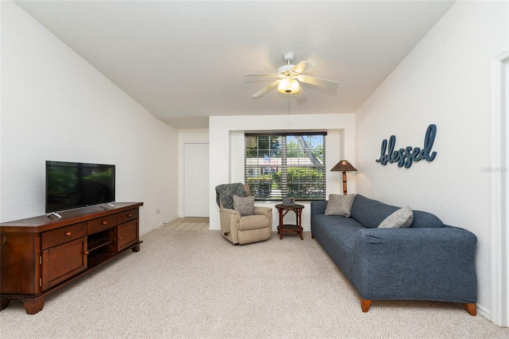 A living room features a blue sofa, a beige recliner, a television console, and carpeted flooring — 8038 SW 108TH LOOP, OCALA, FL