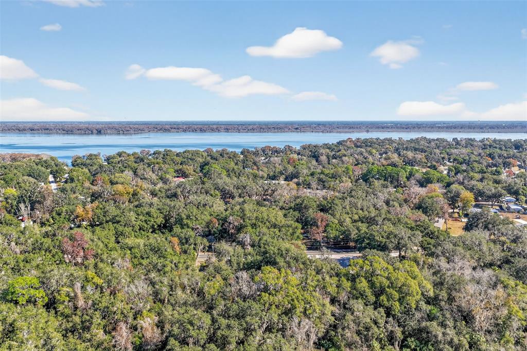An aerial view shows a dense forest leading to a large body of water — 2396 N C 470, LAKE PANASOFFKEE, FL