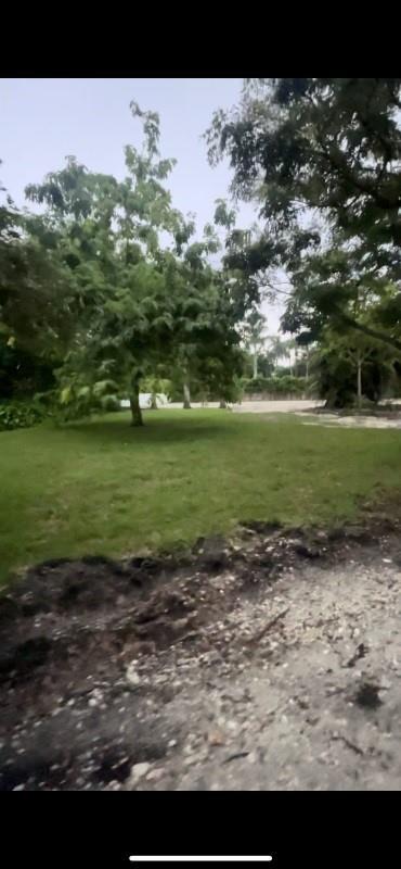 A grassy lawn with several trees is bordered by a dirt and gravel path — 7396 SW 79th Court, Miami FL 33143, MIAMI, FL
