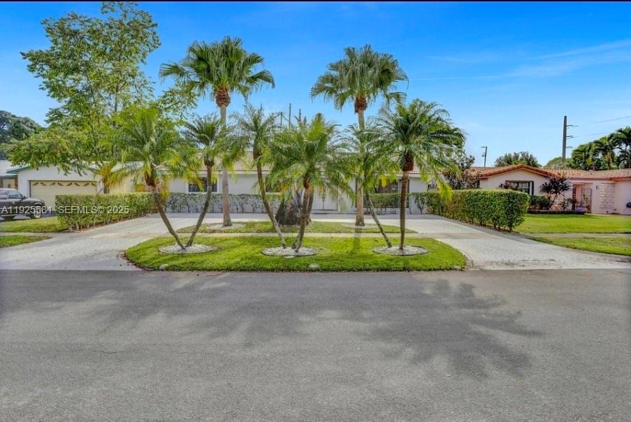A single-story house with a paved driveway and several palm trees in the front yard — 5500 Buchanan St, Hollywood FL 33021, HOLLYWOOD, FL