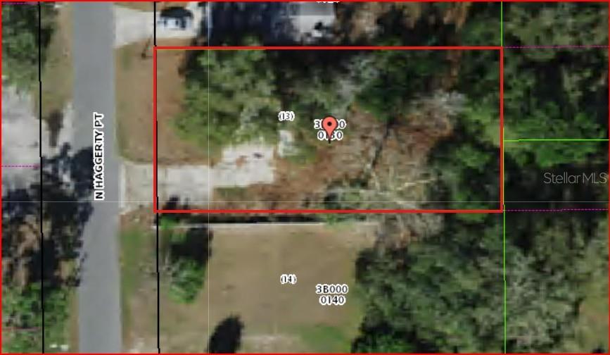 This is an aerial map view of two adjacent residential lots on a street — 1195 N HAGGERTY POINT, CRYSTAL RIVER, FL