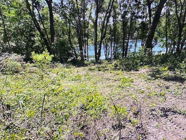 A view of a wooded lot sloping down toward a lake in the distance — 2&3 SPRING LAKE ROAD, FRUITLAND PARK, FL