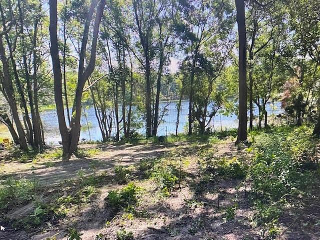 A wooded lot slopes down toward a lake visible through the trees — 2&3 SPRING LAKE ROAD, FRUITLAND PARK, FL