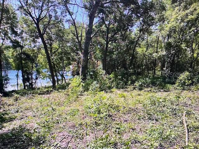 A view of a wooded lot with a glimpse of a lake in the background — 2&3 SPRING LAKE ROAD, FRUITLAND PARK, FL