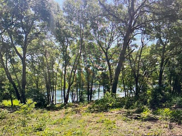 A view of a wooded lot looking out toward a body of water — 2&3 SPRING LAKE ROAD, FRUITLAND PARK, FL