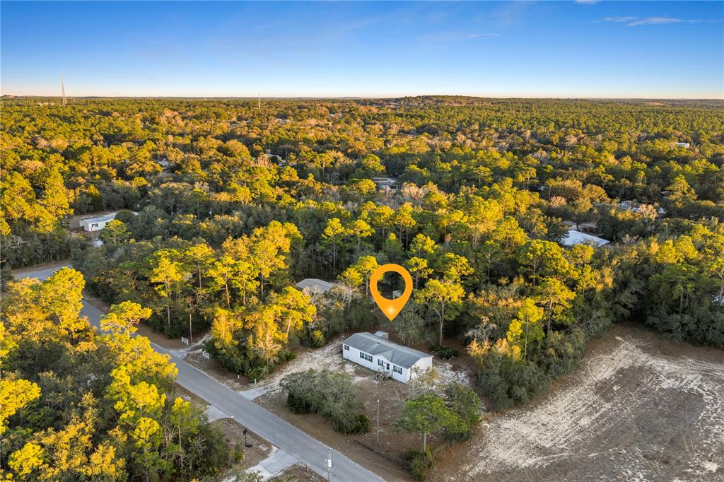 An aerial view shows a single-story house surrounded by dense trees and a paved road — 6072 W PATRIOT STREET, HOMOSASSA, FL