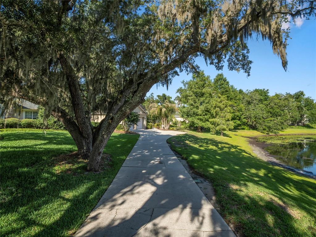 A concrete driveway leads toward a house past a large oak tree and a pond — 177 OVEROAKS PLACE, SANFORD, FL