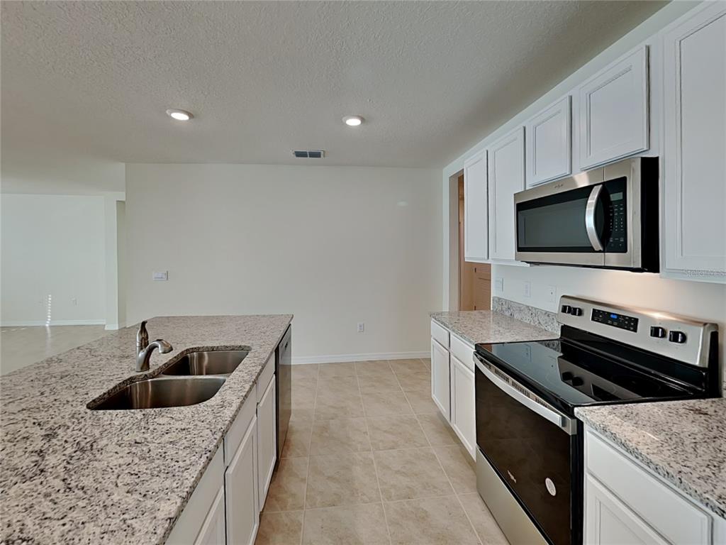 A kitchen features white cabinets, granite countertops, a stainless steel microwave, and a double sink — 1004 BROOKLET DRIVE, DAVENPORT, FL