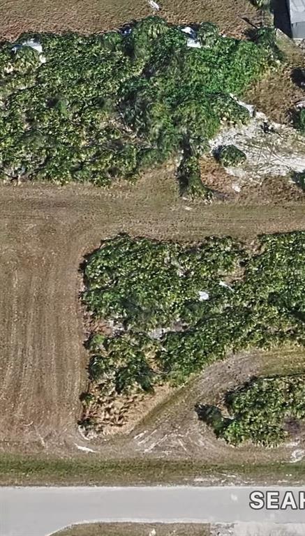 An aerial view shows a patch of dense green vegetation bordering a dirt path — 16 SEAHAWK COURT, PLACIDA, FL
