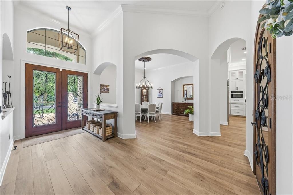 A bright foyer with wood floors leads through arched doorways into a dining room — 16303 DUNLINDALE DRIVE, LITHIA, FL