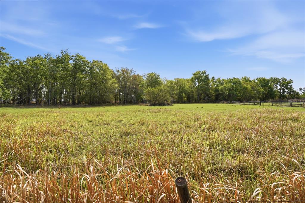 A grassy field stretches toward a dense line of trees under a clear blue sky — 32430-32400 TAYLOR GRADE ROAD, DUETTE, FL