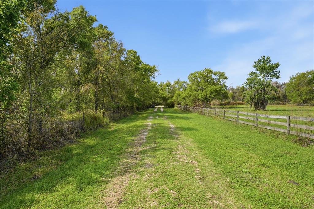A grassy path leads through a wooded area bordered by a wooden fence — 32430-32400 TAYLOR GRADE ROAD, DUETTE, FL
