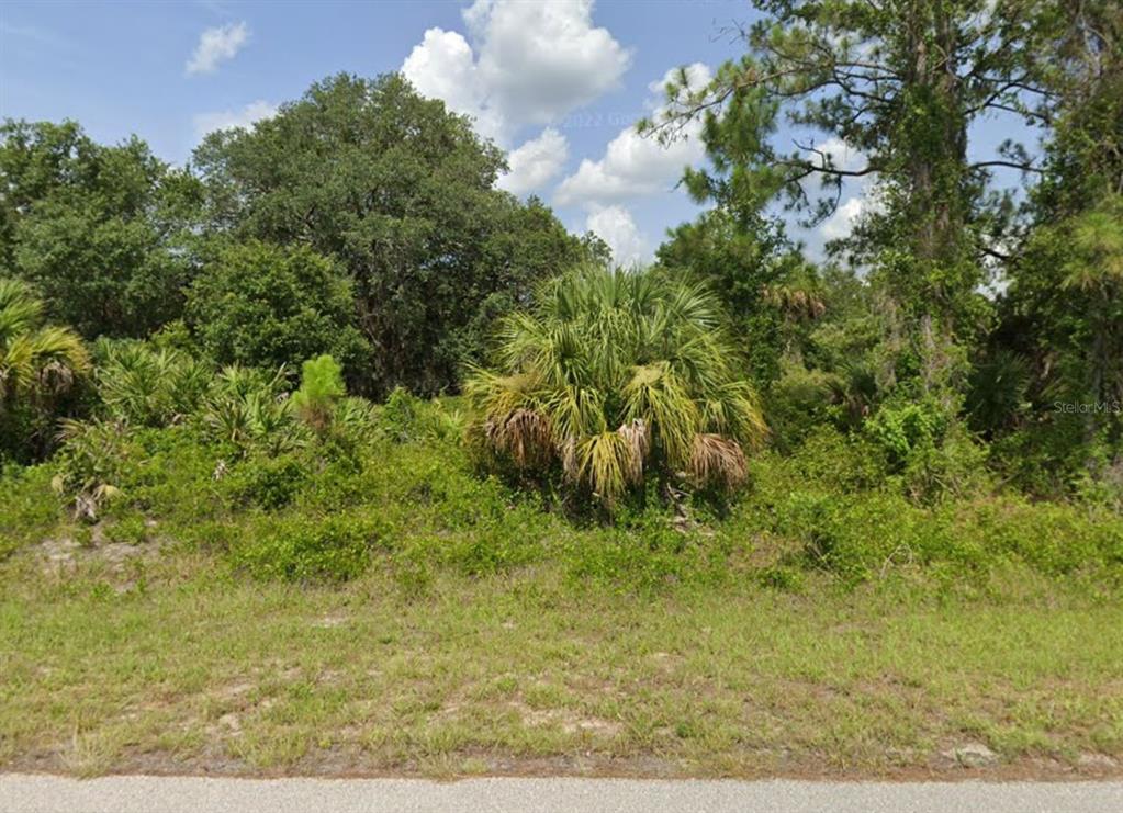 A view of a vacant, wooded lot covered in dense vegetation and palm trees — Lot 7 MATTOX CIRCLE, NORTH PORT, FL