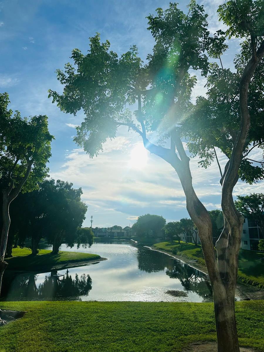 A view of a pond surrounded by green grass and trees under a sunny sky — 15075 Witney Road # 211, Delray Beach FL 33484, DELRAY BEACH, FL