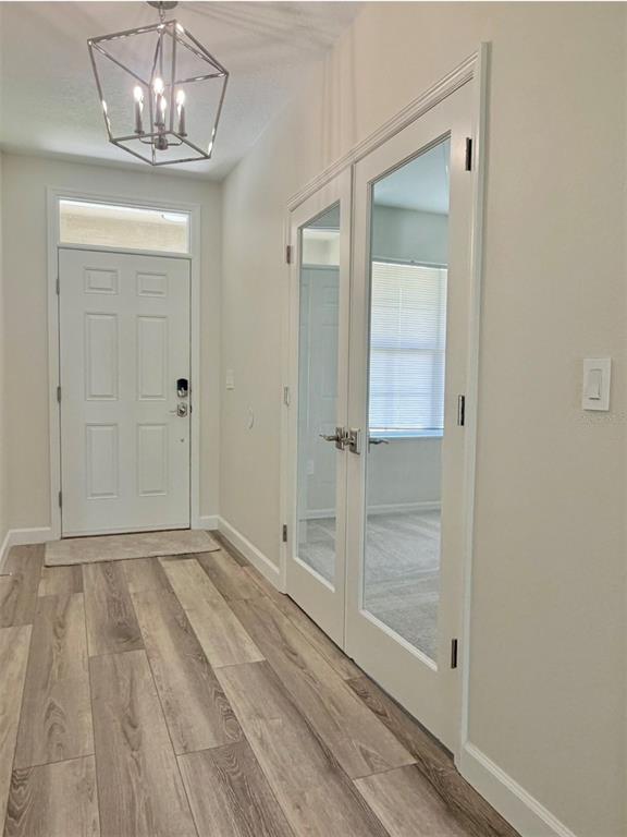 An entryway features wood-look flooring, a geometric pendant light, and glass-paneled double doors — 9714 OAK RANCH CRESCENT COURT, THONOTOSASSA, FL