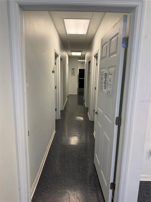 A hallway with white walls, a dark speckled floor, and several closed white doors — 7756 PALM RIVER ROAD, TAMPA, FL
