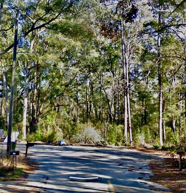 A paved road leads toward a dense wooded area with a utility pole on the left — CHIPPEWA COURT, HAVANA, FL