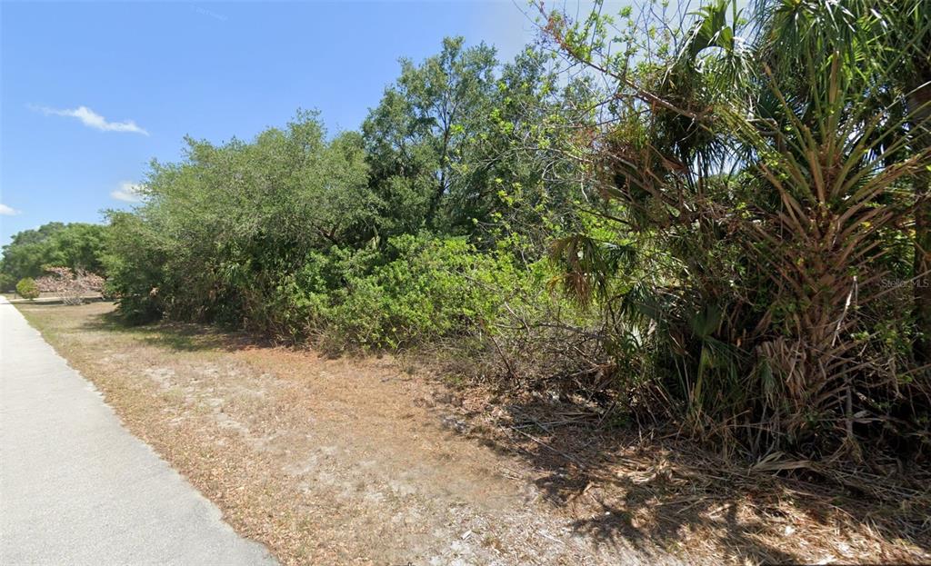 A paved walkway runs alongside a dense area of trees and overgrown vegetation — 88 RHETT DRIVE, PORT CHARLOTTE, FL