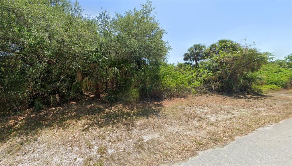 A vacant, wooded lot with dense vegetation and palm trees borders a paved road — 88 RHETT DRIVE, PORT CHARLOTTE, FL