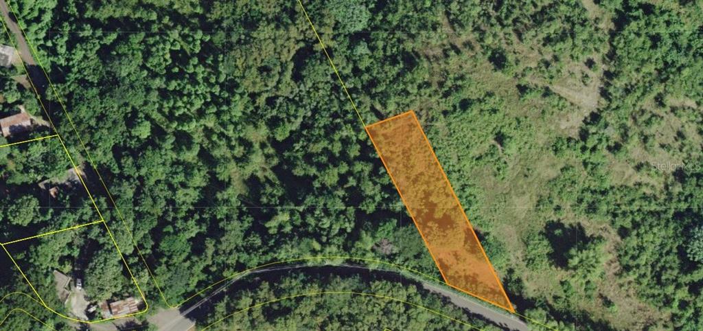 An aerial map view shows a highlighted rectangular plot of land surrounded by dense vegetation — SR 311 KM. 5.3, GUANAJIBO WARD, CABO ROJO, PR