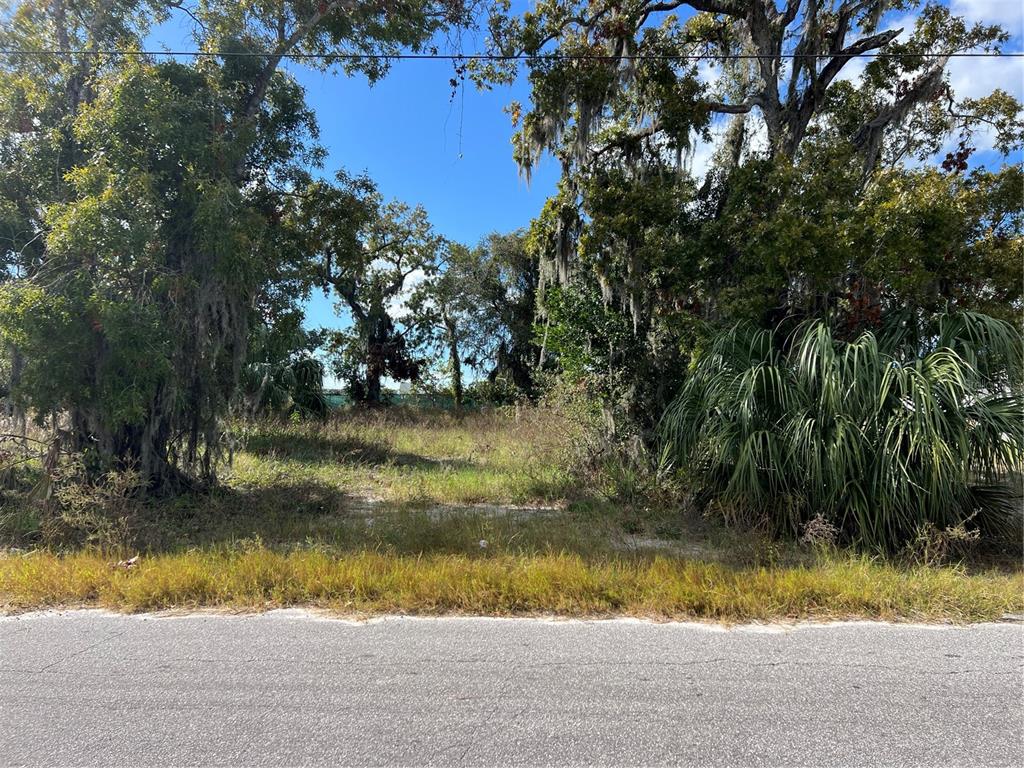 A vacant, tree-lined lot sits alongside a paved road under a clear blue sky — OMAHA STREET, HUDSON, FL