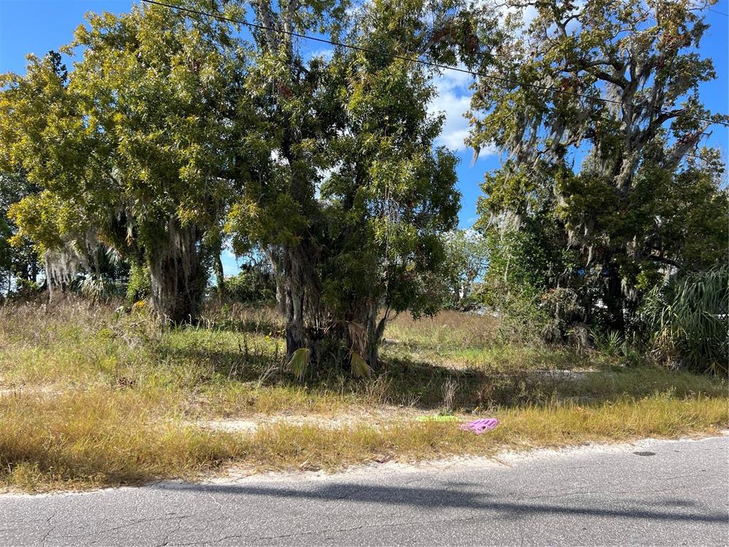 A vacant, grassy lot features several large, moss-draped trees along a paved road — OMAHA STREET, HUDSON, FL