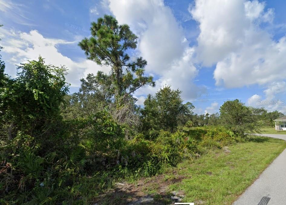 A vacant, wooded lot sits beside a paved road under a blue, cloudy sky — 1274 NAVIGATOR ROAD, PUNTA GORDA, FL