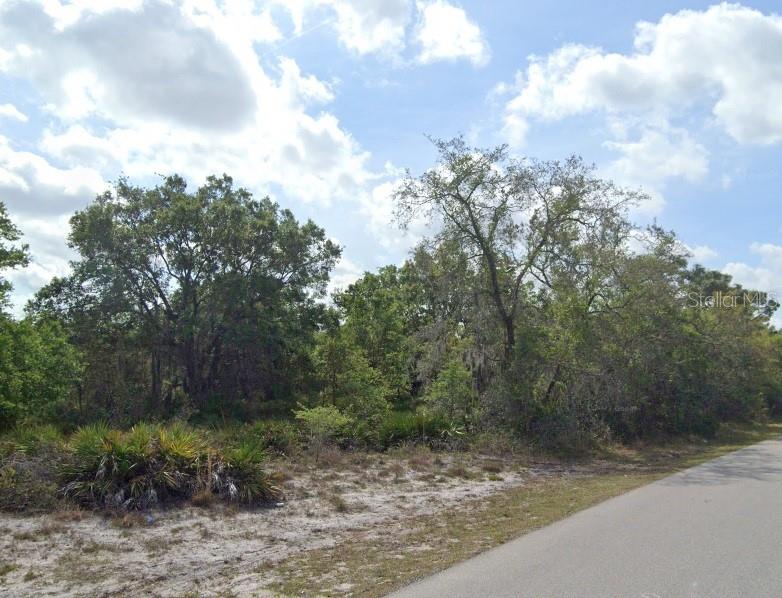 A paved road runs alongside a wooded lot with sandy ground and scattered palmetto bushes — 1274 NAVIGATOR ROAD, PUNTA GORDA, FL