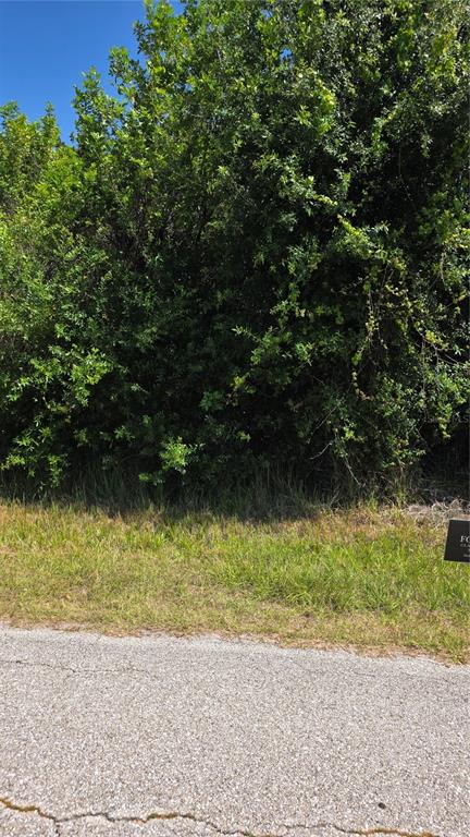 A paved road runs in front of a dense, overgrown wooded lot — 22344 BUFFALO AVENUE, PORT CHARLOTTE, FL