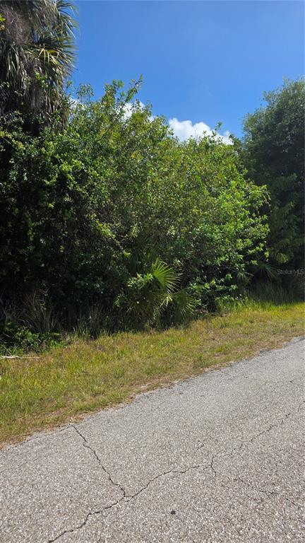 A paved road runs alongside a dense, overgrown lot filled with trees and shrubs — 22344 BUFFALO AVENUE, PORT CHARLOTTE, FL