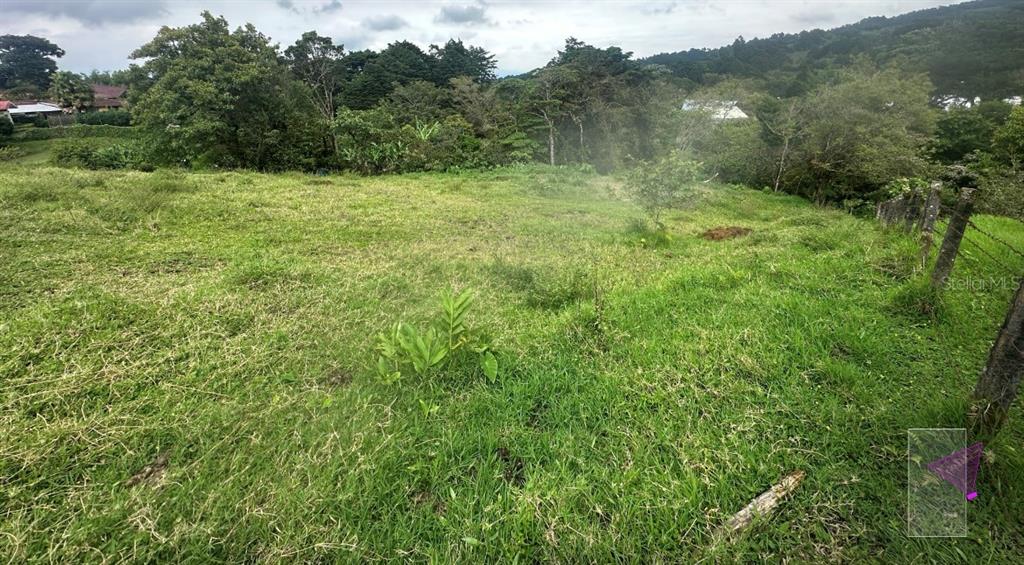 A grassy, sloped lot with scattered trees and a wire fence on the right side — SAN JOSESITO, HEREDIA, KY